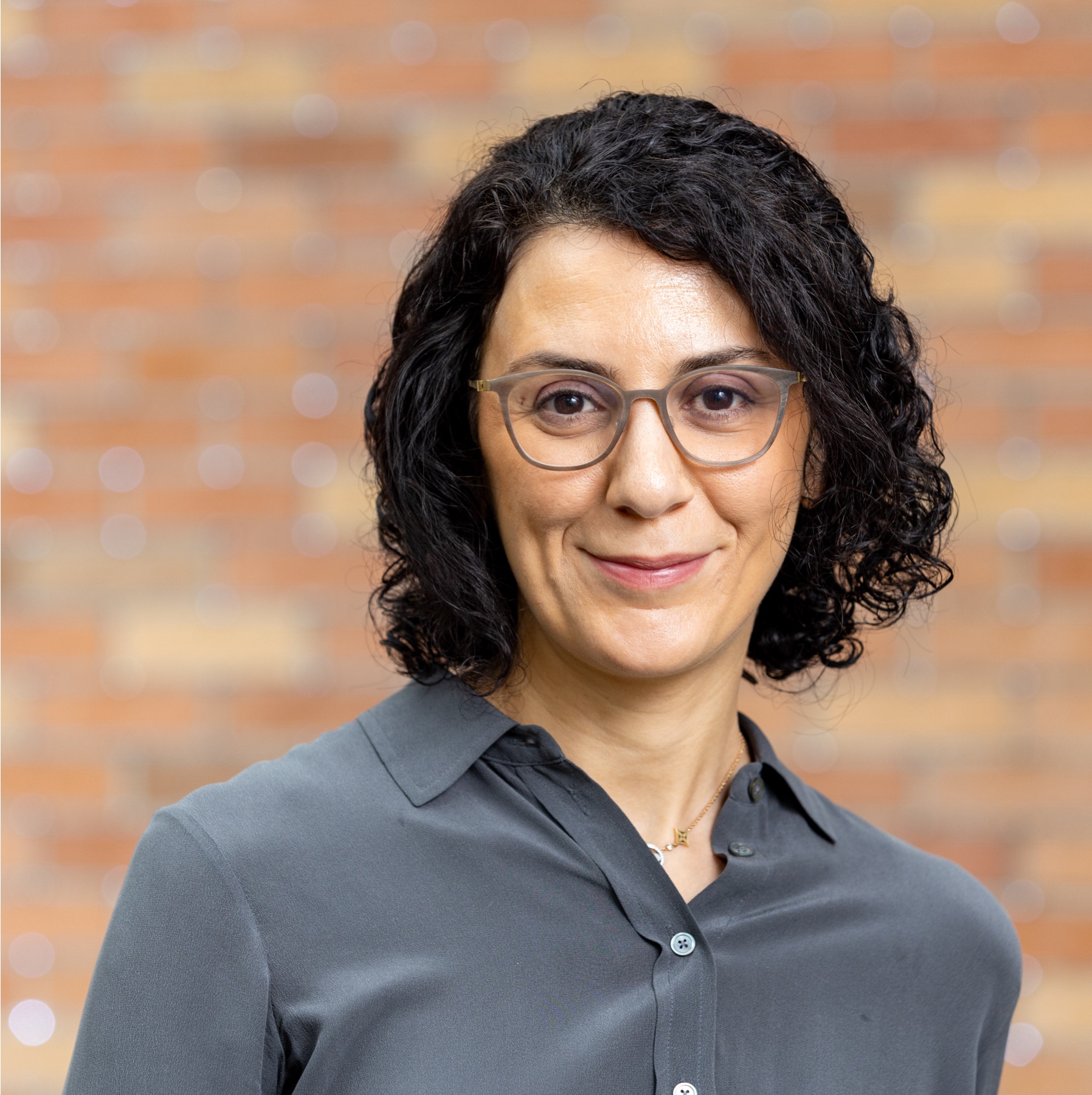 Hannaneh Hajishirzi 
